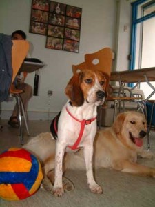 1380943815-2343443015