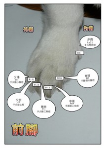 1380943825-3675263491