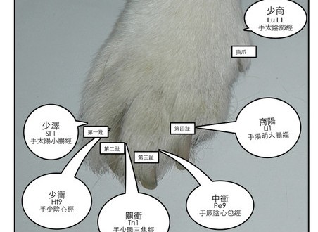 1380943825-3675263491