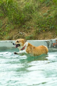 1380943826-3852362948