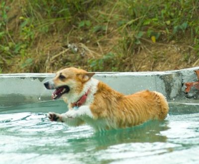 1380943826-3852362948