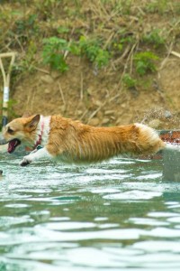 1380943826-3914309786