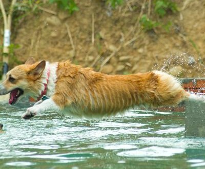 1380943826-3914309786