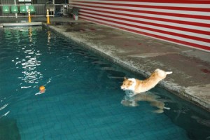 1380943827-1138951415