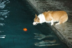 1380943827-1309440954