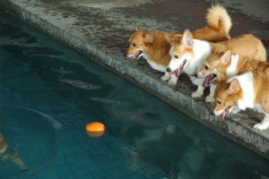 1380943827-2108150359