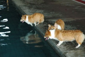 1380943828-3844853362