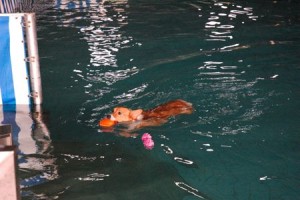 1380943828-4181844153