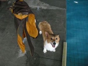 1380943828-884480970