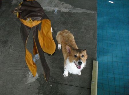 1380943828-884480970