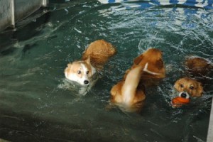 1380943829-1582965056