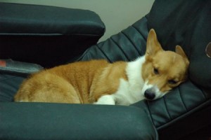 1380943829-2857126794