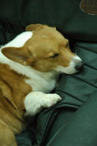 1380943830-1004695236