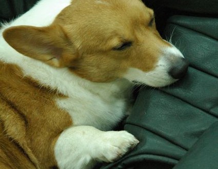 1380943830-1004695236