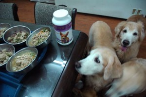 1380943857-2224386763