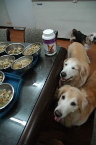 1380943858-1011492285