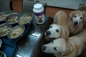 1380943858-1752185950