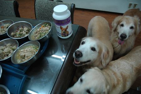 1380943858-2553543530