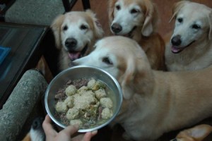 1380943859-1694394470