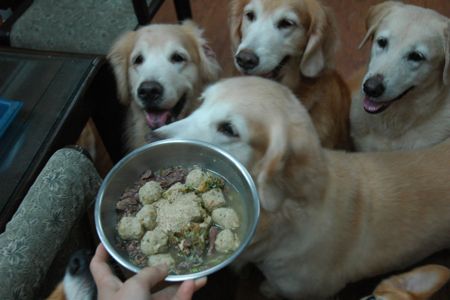 1380943859-1694394470