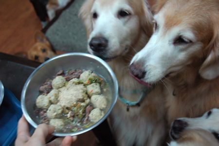 1380943859-3475973419