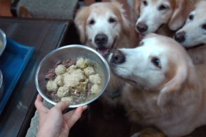 1380943859-3707182552