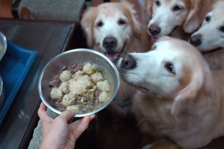 1380943859-3707182552