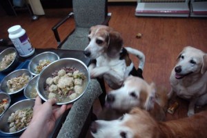 1380943861-2914496413