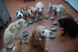 1380943862-1707615293