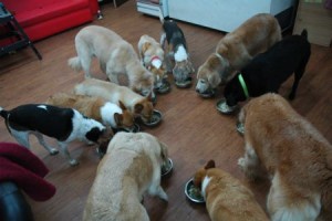 1380943863-3274986735