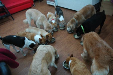 1380943863-3274986735