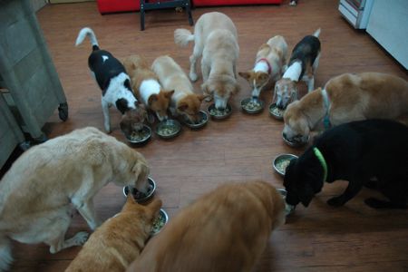 1380943863-4053304851