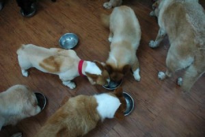 1380943864-2308197957