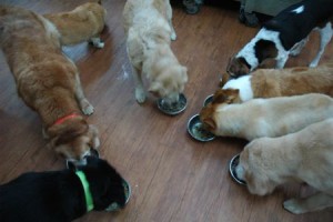 1380943864-3832020660