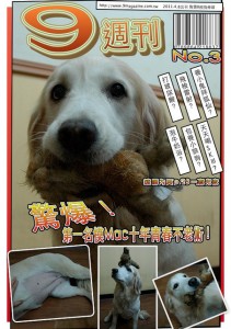 1380943865-460402667