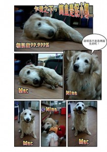 1380943866-2708494289