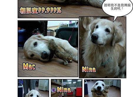 1380943866-2708494289