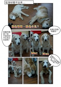 1380943866-4084027584