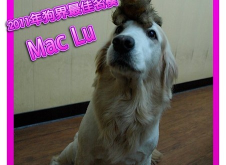 1380943867-3236306786