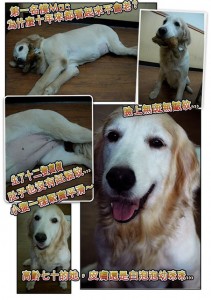 1380943867-807189612