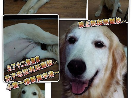 1380943867-807189612