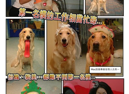 1380943868-2412627661