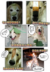 1380943868-653575441