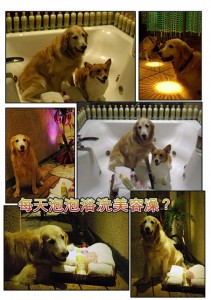 1380943869-3717641417