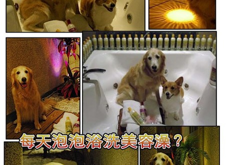 1380943869-3717641417