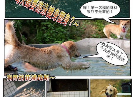 1380943869-4043229713