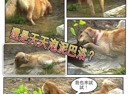 1380943870-3319278872