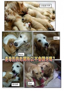 1380943871-3438818699