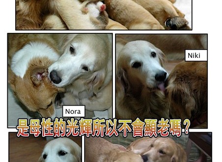 1380943871-3438818699