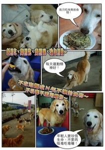 1380943871-3820478301